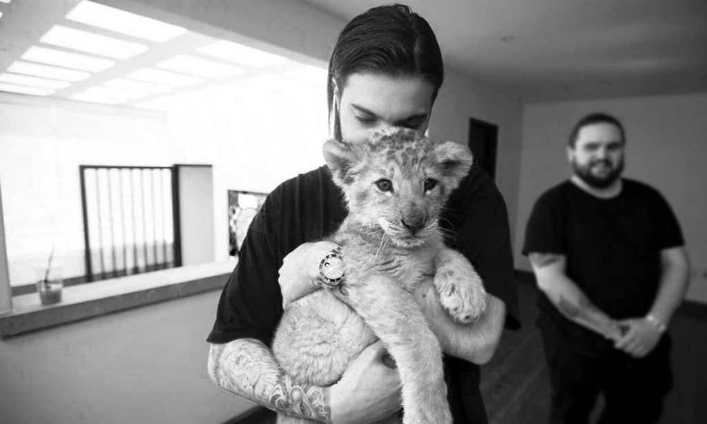 Caption of Swedish DJ & Producer Alesso with a white tiger. 2017 - Credits : Alesso