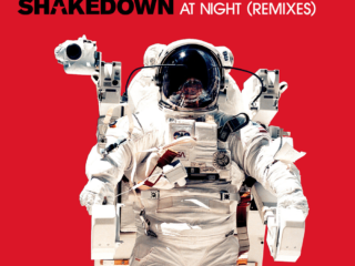 Shakedown - At Night (Peggy Gou's Acid Journey Remix)